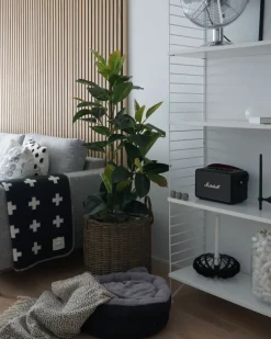 Blumenkorb 2Er Set Rattan Sandbeige Rund Bitola