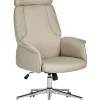 Burostuhl Beige Hohenverstellbar Pilot