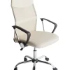 Burostuhl Beige Hohenverstellbar Design