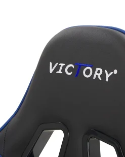 Burostuhl Schwarz / Blau Hohenverstellbar Mit Fusstutze Victory