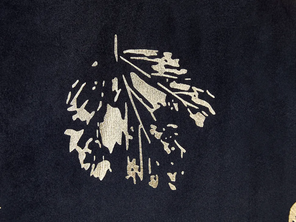 Dekokissen Blattmuster Samtstoff Schwarz 45 X 45 Cm 2Er Set Goldenrod
