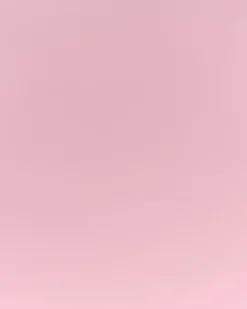 Esszimmerstuhl Kunststoff Rosa 2Er Set Utica