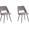 Esszimmerstuhl Samtstoff Grau 2Er Set Ansley
