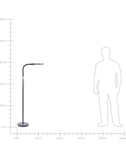 Flurlampe Schwarz Led Cassiopeia