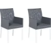 Gartenstuhl Aluminium Grau 2Er Set Bacoli