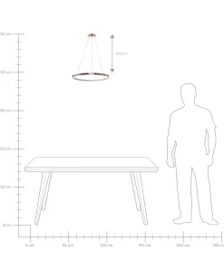 Hangeleuchte Led Rosegold Ringform O 50 Cm Jordan