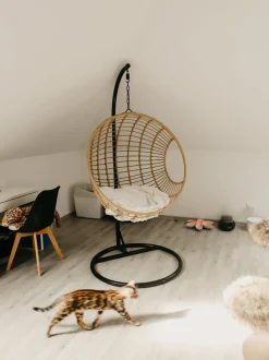 Hangesessel Mit Gestell O 97 Cm Rattan Naturlich Aspio