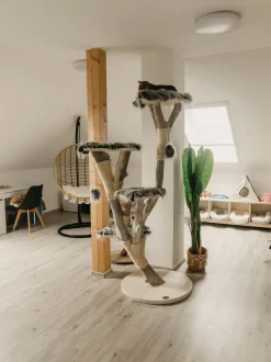 Hangesessel Mit Gestell O 97 Cm Rattan Naturlich Aspio