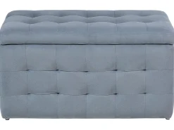 Hocker Mit Stauraum Samtstoff Grau Michigan