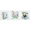 Leinwandbild Bunt Vogelmotiv 3Er Set 30 X 30 Cm Menaka