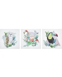 Leinwandbild Bunt Vogelmotiv 3Er Set 30 X 30 Cm Menaka