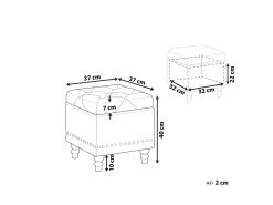 Pouf Samtstoff Mit Stauraum Hellgrau Loretto