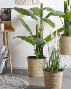 Rattanstuhl Schwarz Canora