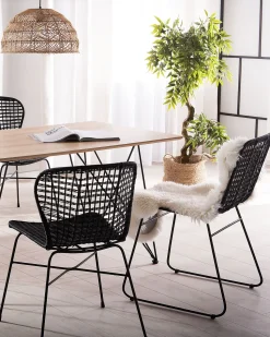 Rattanstuhl Schwarz 2Er Set Elfros