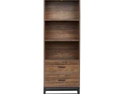 Regal Dunkler Holzfarbton / Schwarz Mit 3 Fachern Und 2 Schubladen Delta