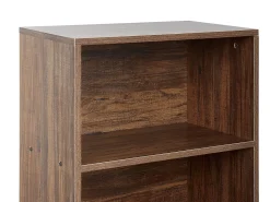 Regal Dunkler Holzfarbton / Schwarz Mit 3 Fachern Und 2 Schubladen Delta