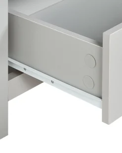 Regal Grau / Heller Holzfarbton 4 Facher Clio
