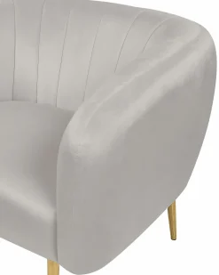 Sessel Samtstoff Hellgrau Mit Goldenen Beinen Laconia