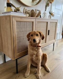 Sideboard Heller Holzfarbton 3 Rattan-Turen Pasco