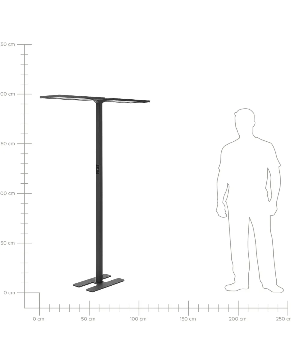Stehlampe Led Schwarz 2-Flammig 196 Cm Rechteckig Sculptor