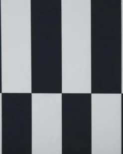 Teppich Schwarz / Weis 80 X 300 Cm Streifenmuster Kurzflor Pacode