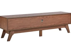 Tv-Mobel Dunkler Holzfarbton Mit Schublade 149 X 35 X 44 Cm Detroit